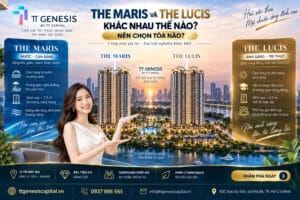 The Maris Và The Lucis Khác Nhau Thế Nào? Nên Chọn Tòa Nào?